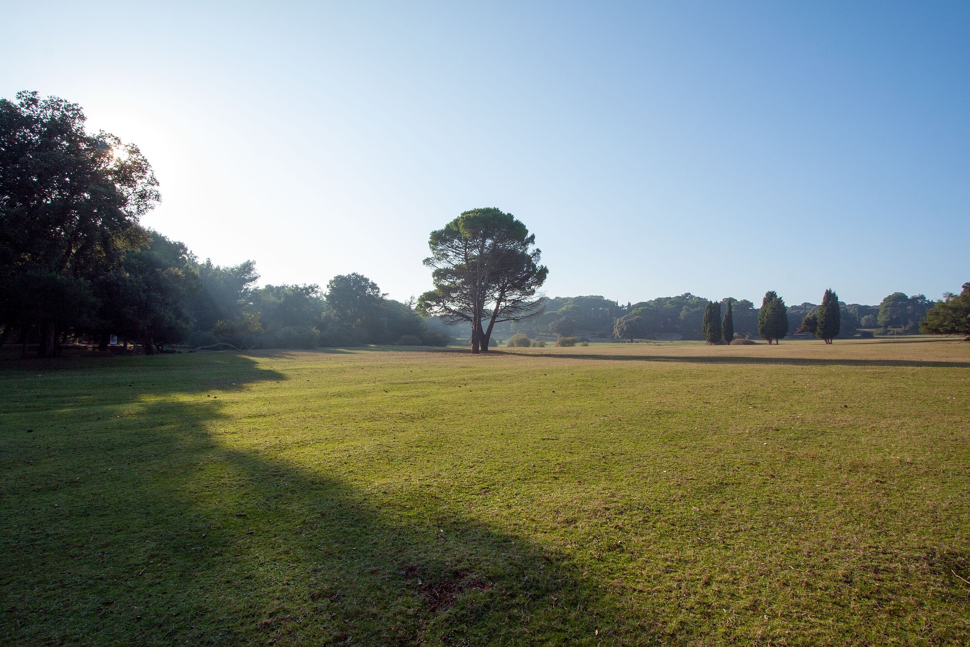 Top Brijuni Island FAQs for Travelers